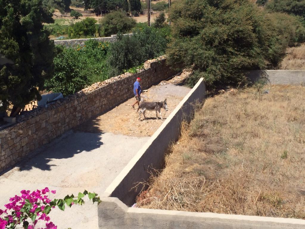 Patmos Villas Grikos Bay  Exterior photo
