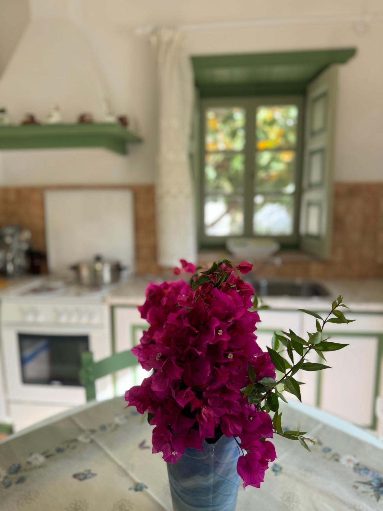 Patmos Villas Grikos Bay  Exterior photo